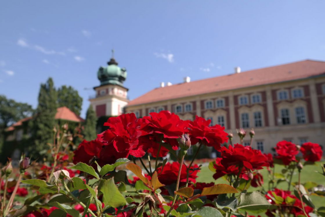 Koncerty na Międzynarodowych Kursach Muzycznych w Łańcucie