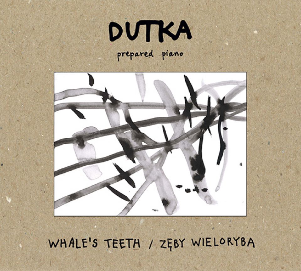 Dutka - Zęby wieloryba